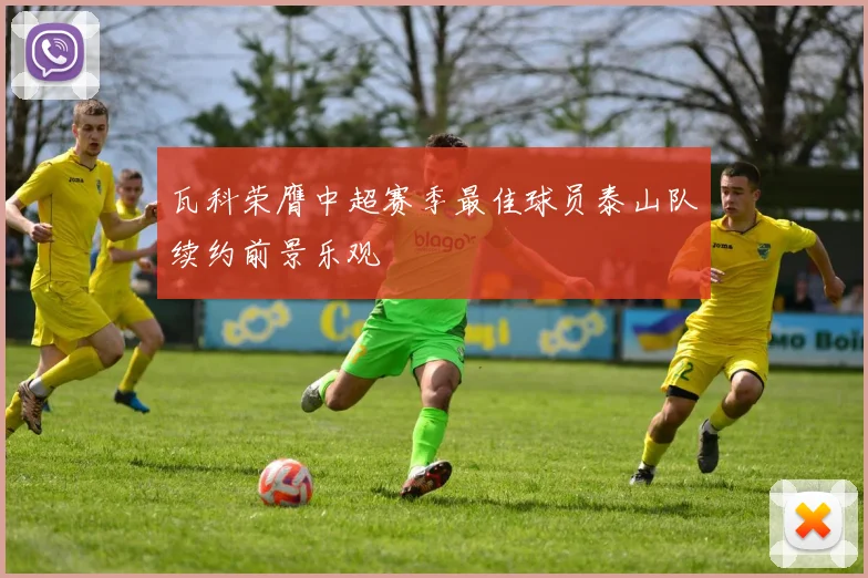 瓦科荣膺中超赛季最佳球员泰山队续约前景乐观
