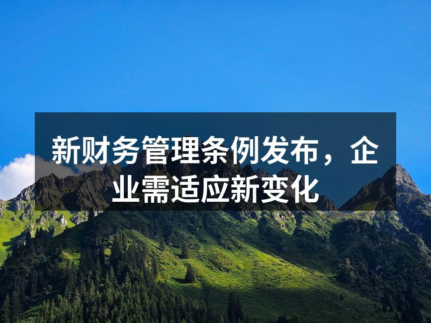 新财务管理条例发布，企业需适应新变化